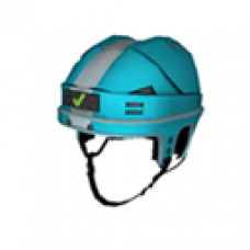 Hockey Helmet